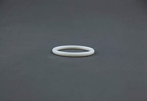 Titan 891-193 Teflon O-Ring, outlet filter seat
